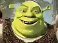 Xogo Colección de Puzzles de Shrek en liña Xogo Colección de Puzzles de Shrek en liña