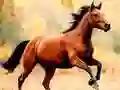 Xogo Tobogán Cabalo en liña