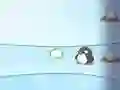 Xogo Bonecos de neve contra Pingüín en liña