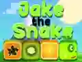 Xogo Jake a Serpe en liña