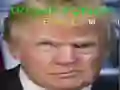 Xogo Trump Cara Graciosa en liña Xogo Trump Cara Graciosa en liña