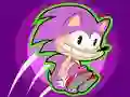 Xogo Zonic Rush WC en liña