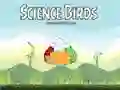 Xogo Páxaros Científicos en liña