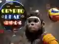 Xogo Bola Cabeza Cripto en liña Xogo Bola Cabeza Cripto en liña