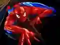 Xogo Puzle Spider-Man en liña
