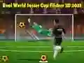 Xogo Copa do Mundo de Fútbol Real Flicker 3D 2023 en liña
