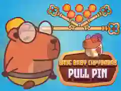 Xogo Salva os cativos capybara Pull Pin en liña Xogo Salva os cativos capybara Pull Pin en liña