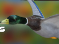 Xogo Cazador de patos: Bosque de outono en liña