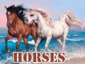 Xogo Cabalos en liña