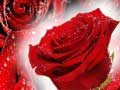 Xogo Rosas vermellas en liña