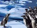 Xogo Deslizamento de Pingüins en liña