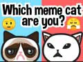 Xogo Que gato meme es ti? en liña