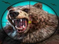 Xogo Caza de osos salvaxes en liña