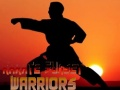 Xogo Karate Guerreiros do Pôr do Sol en liña