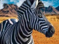 Xogo Cazador de zebras en liña