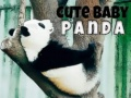 Xogo Pequeno panda bonito en liña