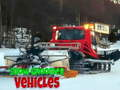 Xogo Vehículos de Preparación de Nieve en liña