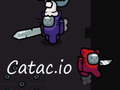 Xogo Catac.io en liña