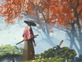 Xogo Reflexión Samurai en liña