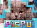 Xogo PicPu Gato en liña