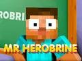 Xogo Sr. Herobrine en liña