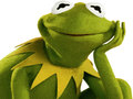 Xogo Libro de Colorear para Kermit a Rana en liña
