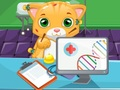 Xogo Médico Gato en liña