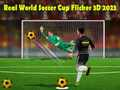 Xogo Copa do Mundo de Fútbol Real Flicker 3D 2023 en liña